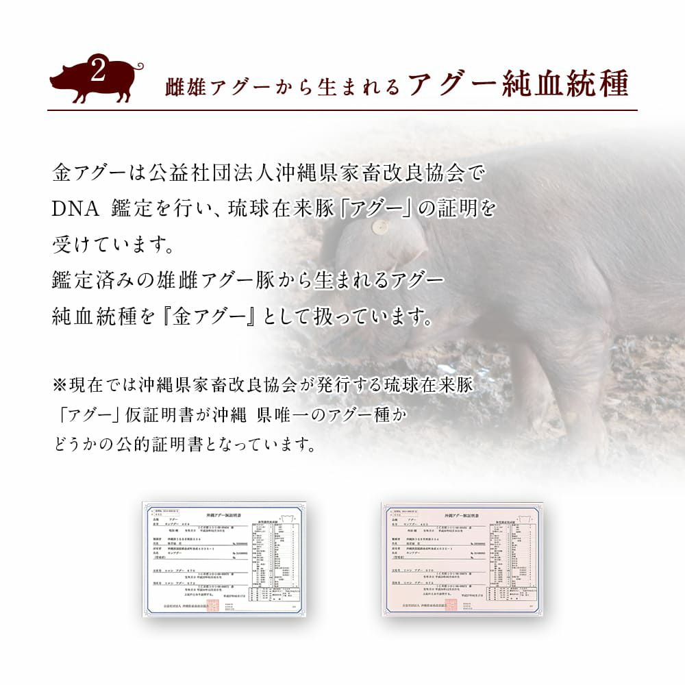 しゃぶしゃぶ用 金アグー豚スライス 合計500g （100g×5パック